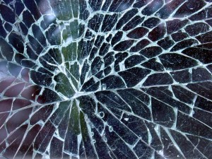 WetSpiderWeb