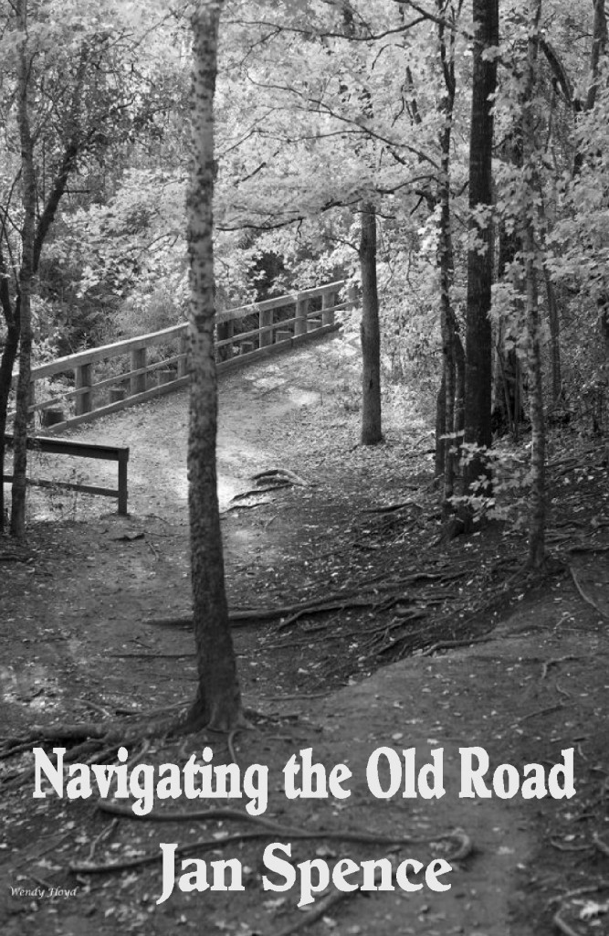 cover-of-navigating-the-old-road