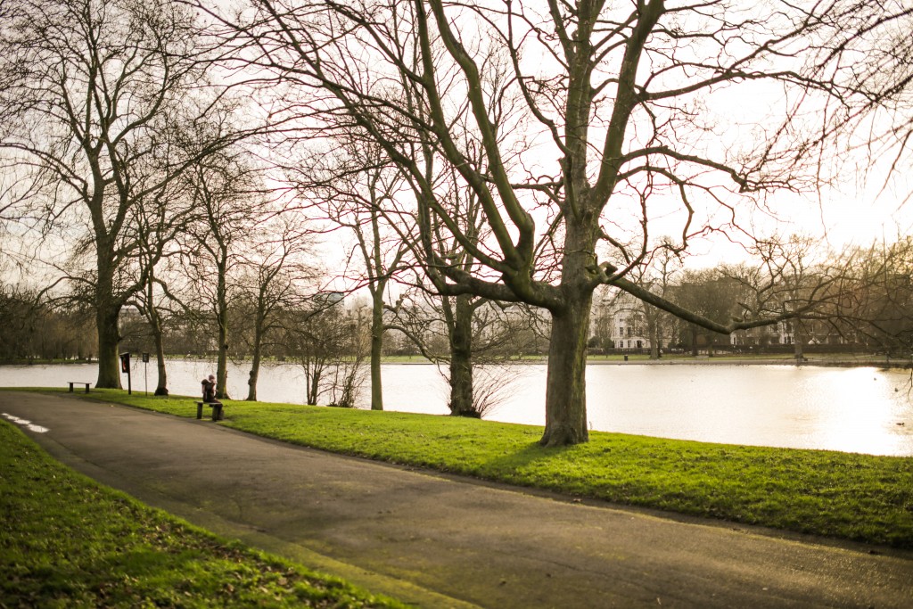 Park Walk negspace-00027